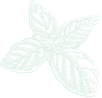 decorative leaf