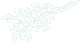 decorative leaf